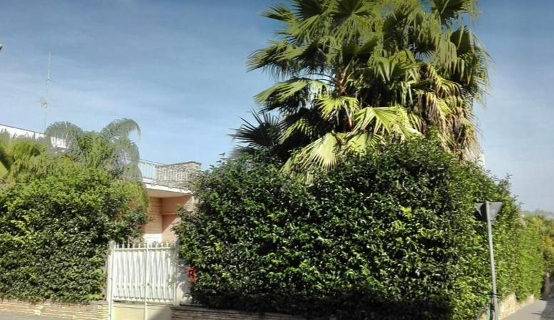 Villa Lazzari B&B Tra i due Mari Maglie Esterno foto